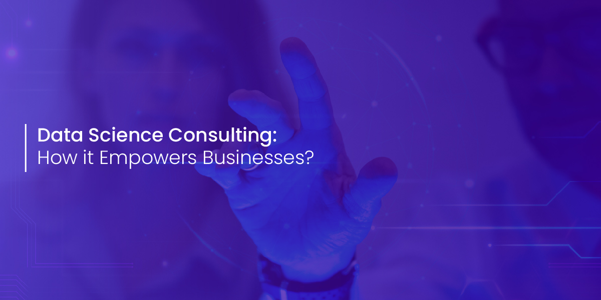 Data Science Consulting